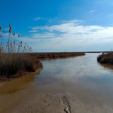 Rincon Del Delta, Apartamento En El Delta Del Ebro, Playa Trabucador Amposta, Tarragona L'Eucaliptus Ngoại thất bức ảnh