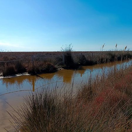 Rincon Del Delta, Apartamento En El Delta Del Ebro, Playa Trabucador Amposta, Tarragona L'Eucaliptus Ngoại thất bức ảnh