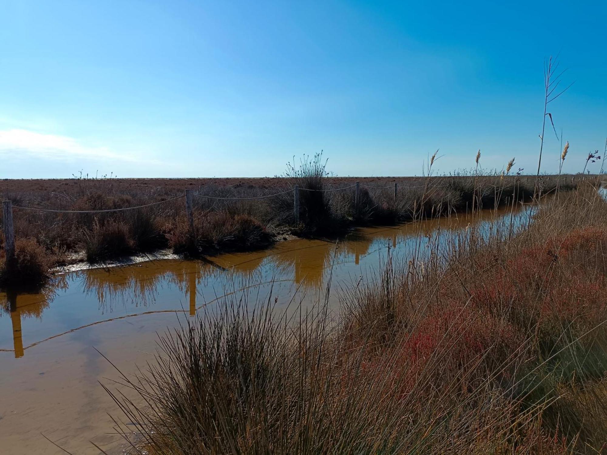 Rincon Del Delta, Apartamento En El Delta Del Ebro, Playa Trabucador Amposta, Tarragona L'Eucaliptus Phòng bức ảnh
